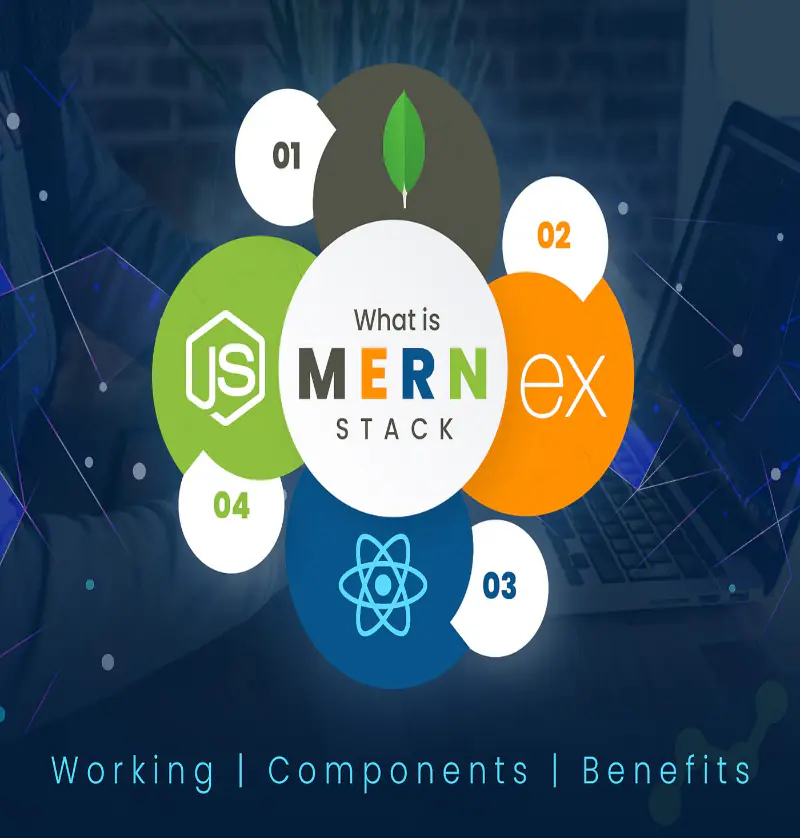 What is the MERN Stack?